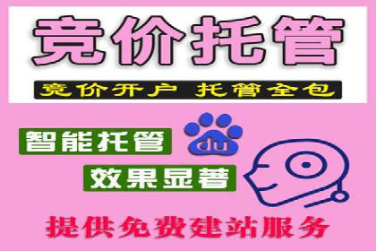 百度竞价广告代运营助力某科技公司实现精准营销